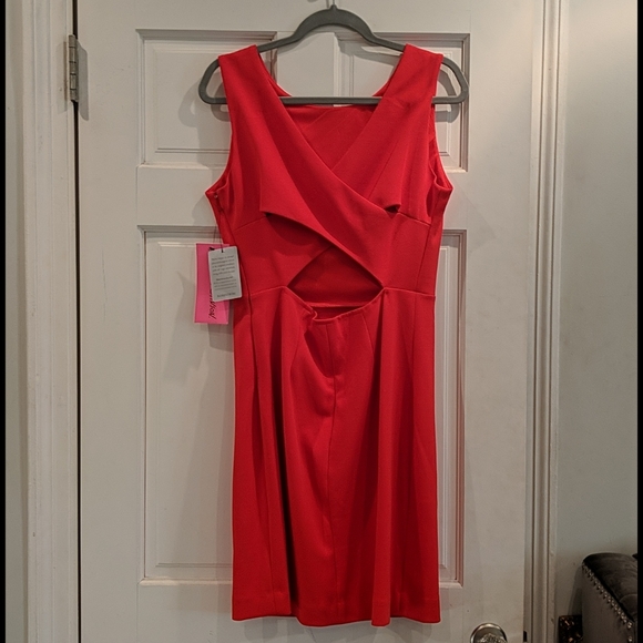 🌹NWT Betsey Johnson Dress!! - Picture 6 of 6